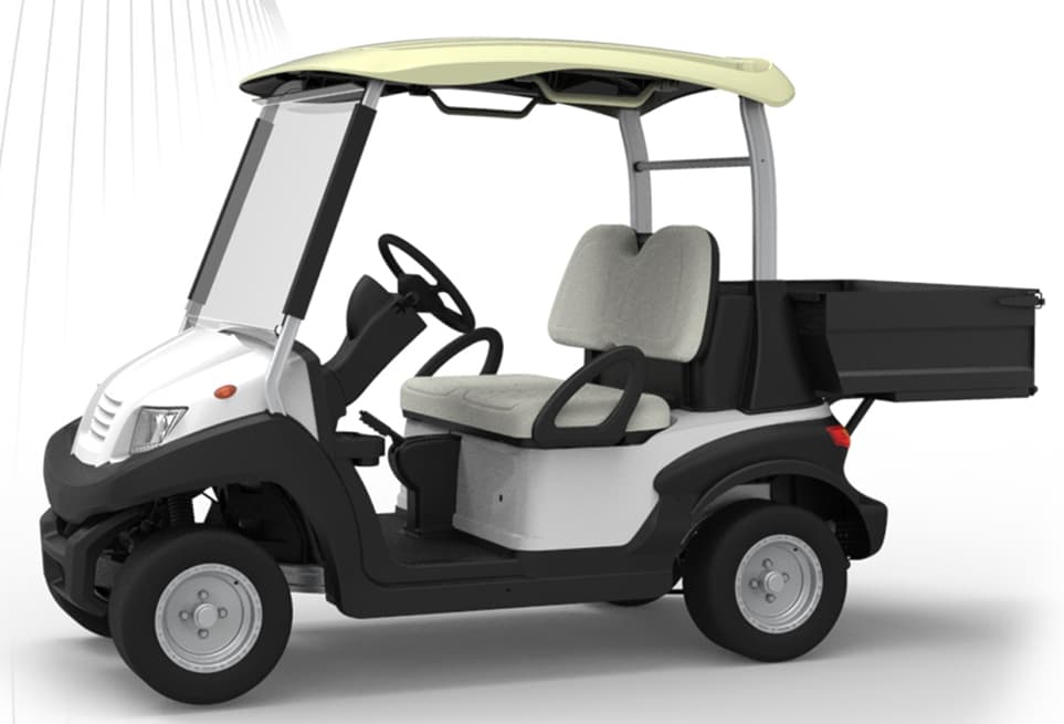 Cavendish electric buggy, two-seater electric buggy