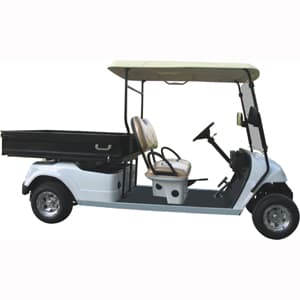 Kingsley electric buggy, two-seater electric buggy