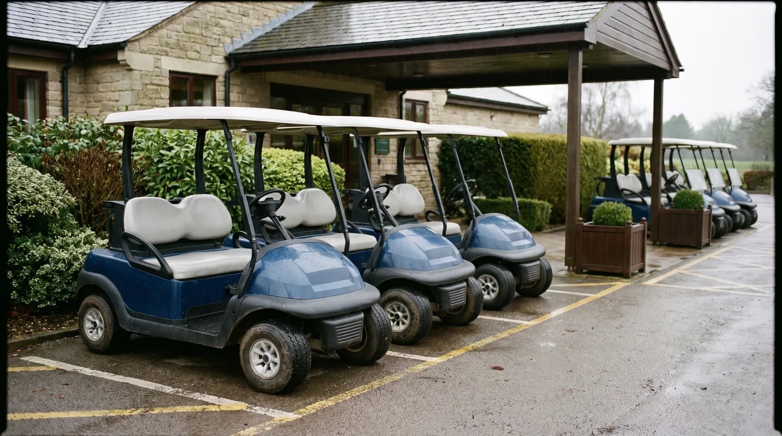 Bespoke branded electric buggy livery