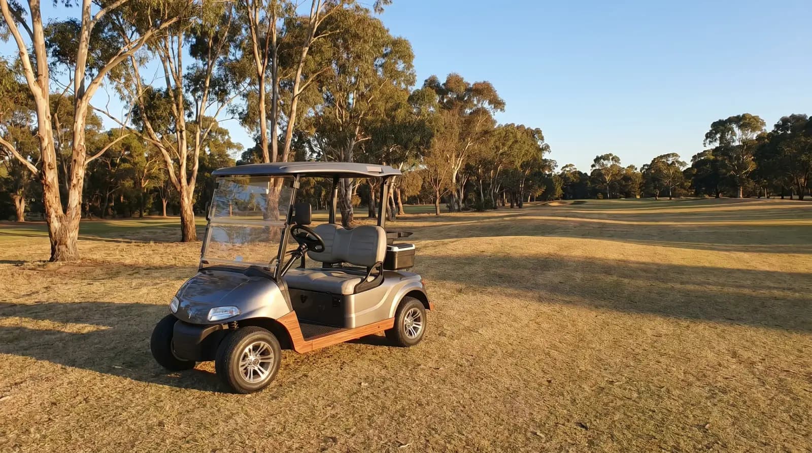 Electric vs gas golf carts in Australia: which suits you?