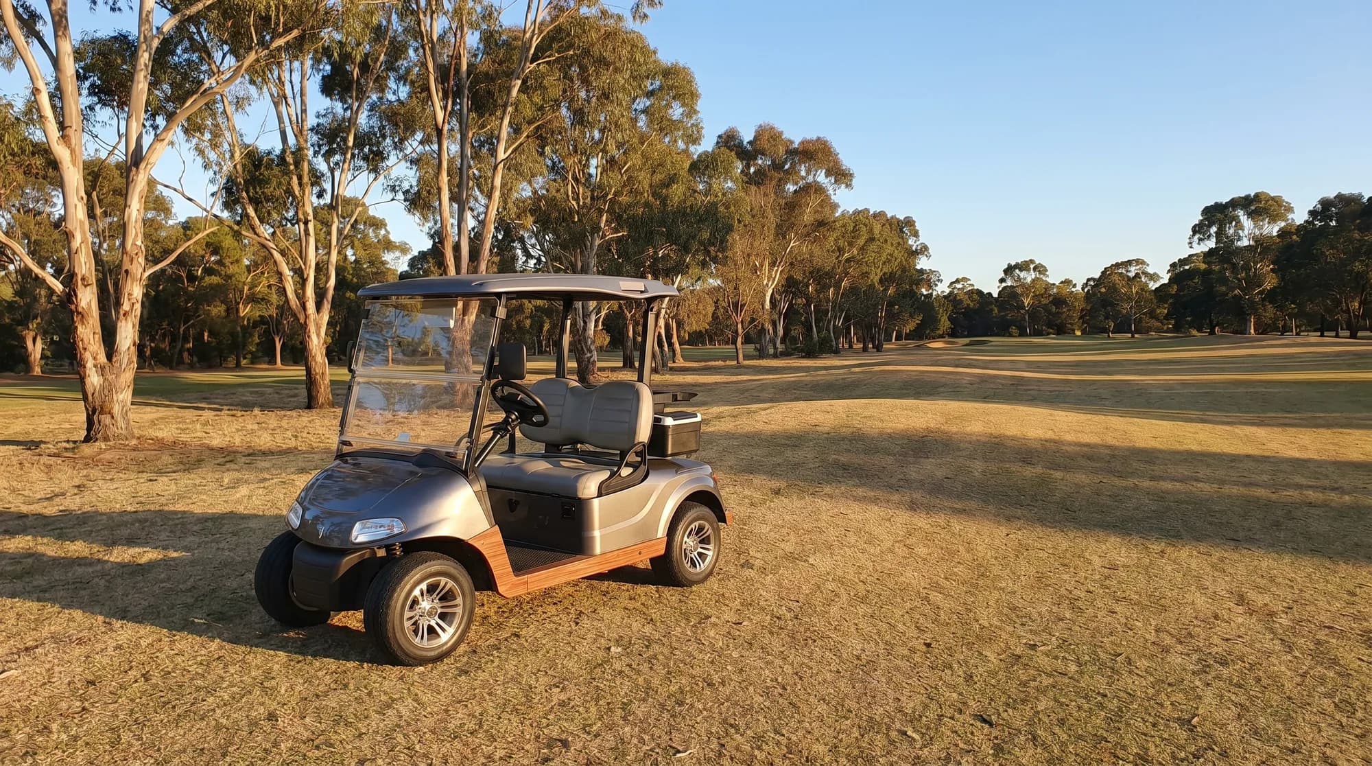 Electric vs gas golf carts in Australia: which suits you?