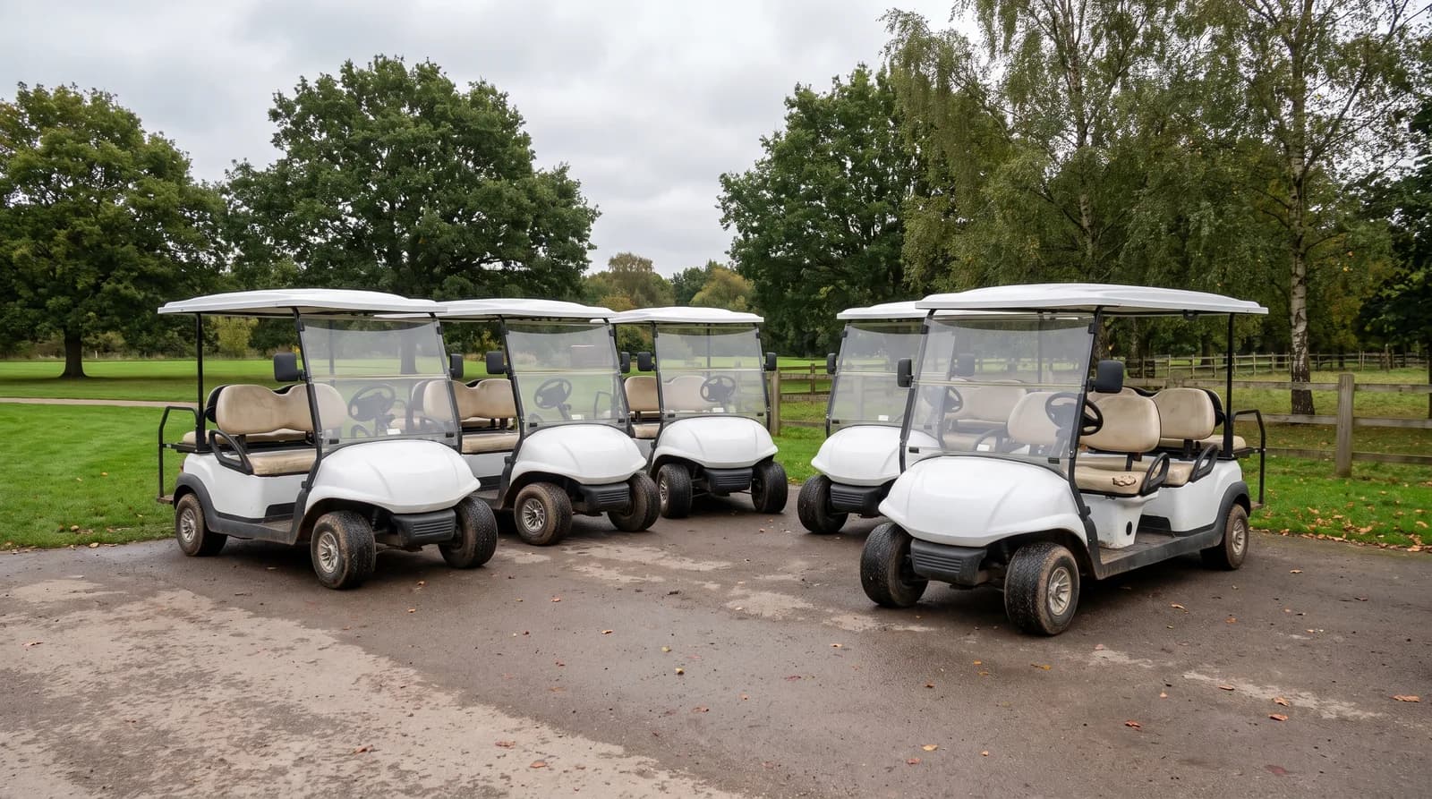 Fleet sizing for attractions: how many golf carts per visitor?