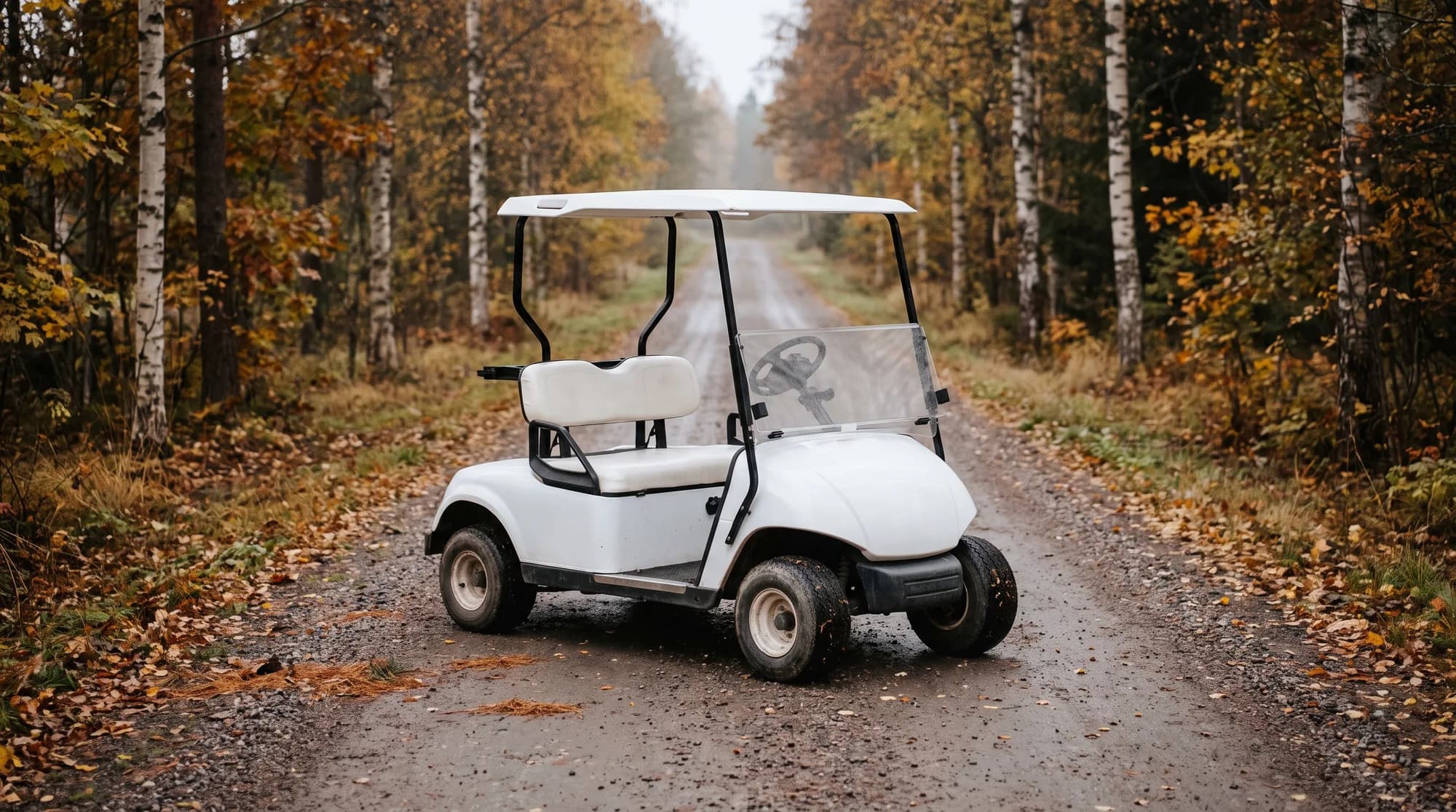 How far can an electric golf cart go on a charge in Canada?