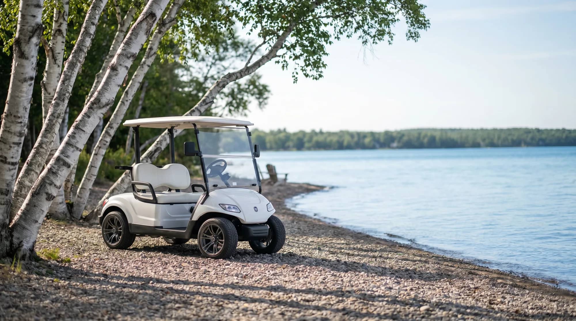 Electric golf carts in Michigan