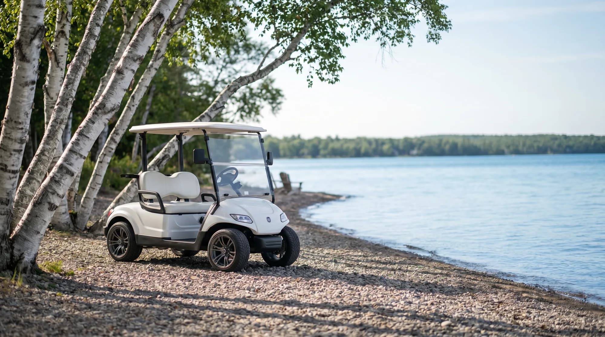 Electric golf carts in Michigan
