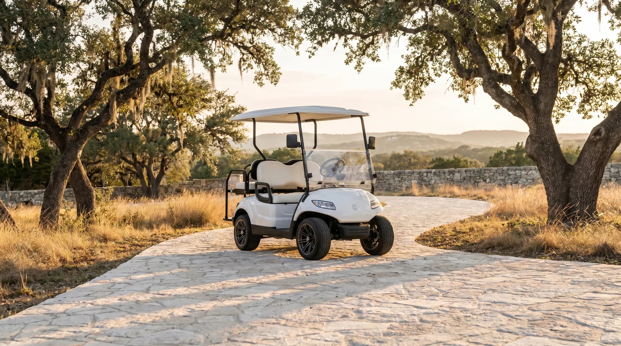 Electric golf carts in Texas