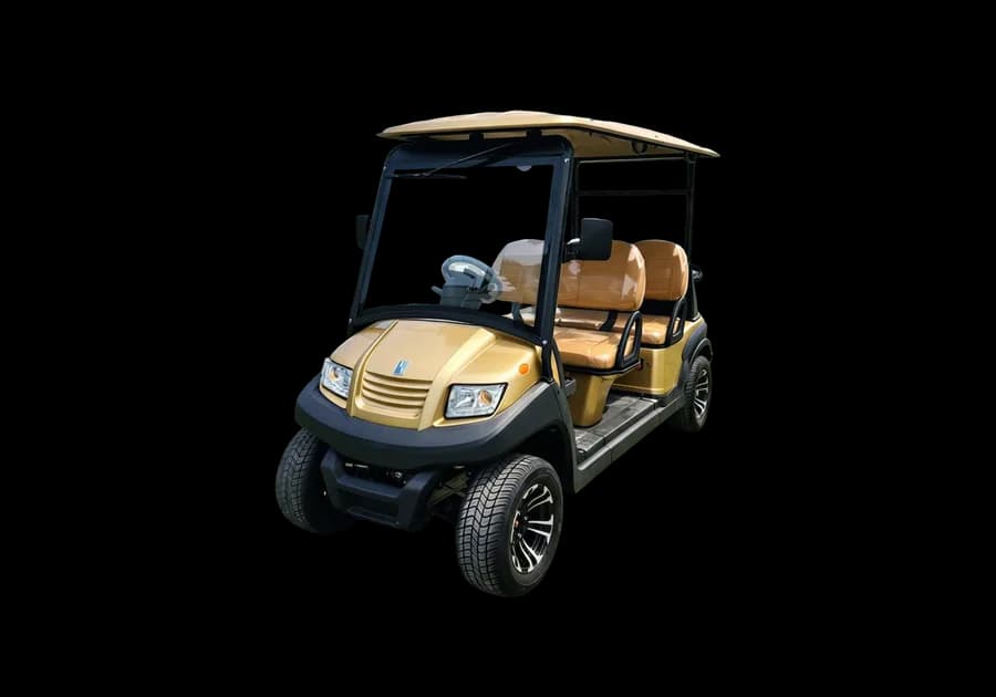 4 Seat Electric Buggy for hire