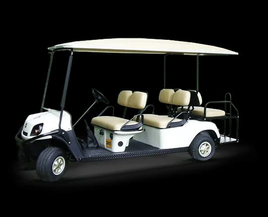 6 Seat Electric Buggy for hire