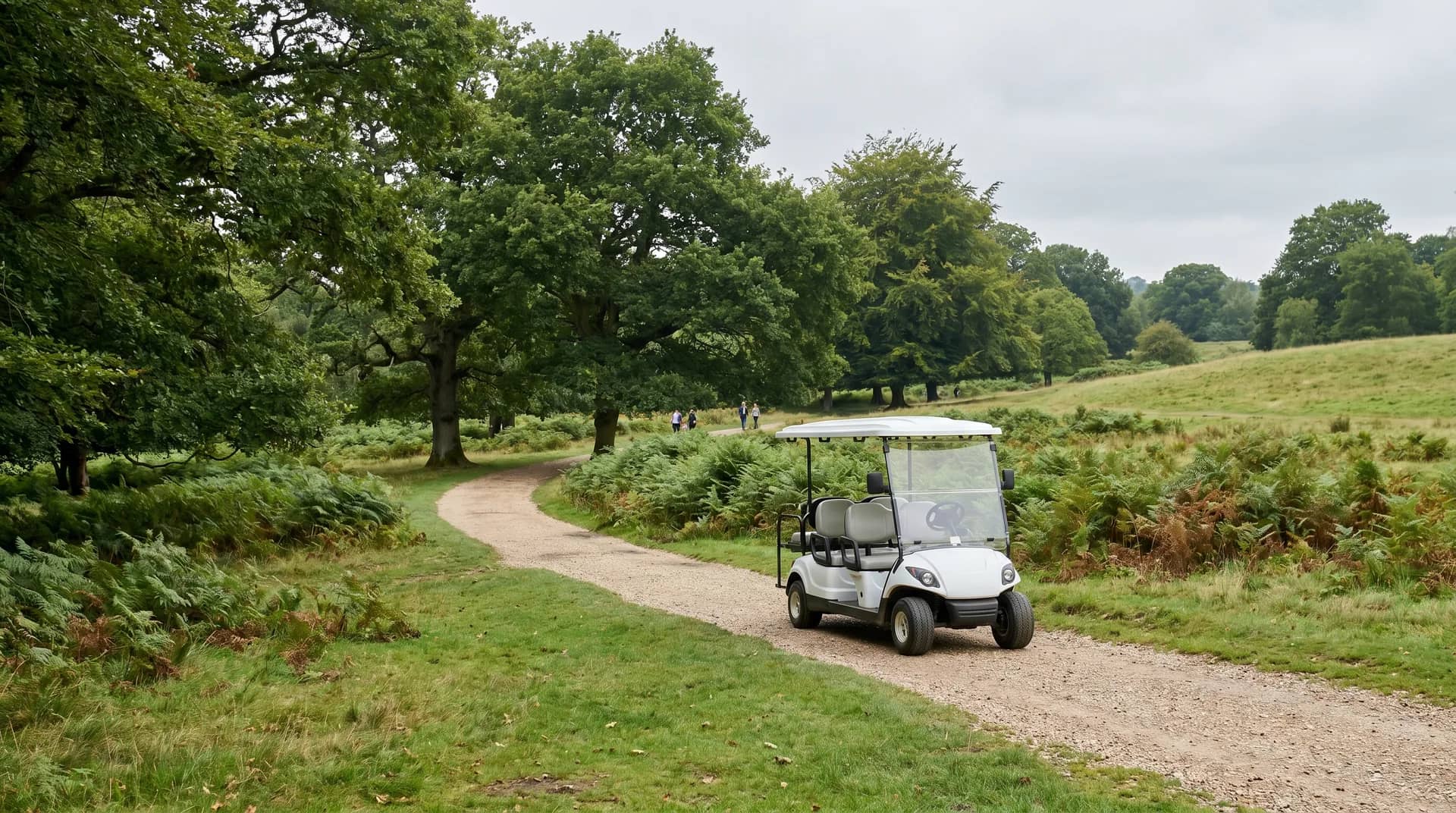 Electric golf cart delivered to a venue