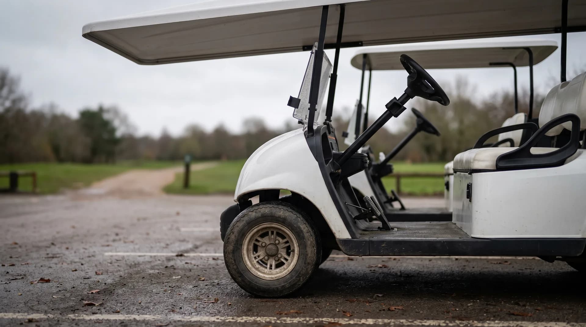 What to check before you drive a hire golf buggy