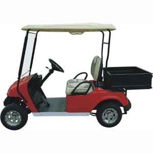Meridian electric buggy, two-seater electric buggy