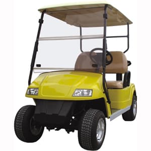 Vantage electric buggy, two-seater electric buggy