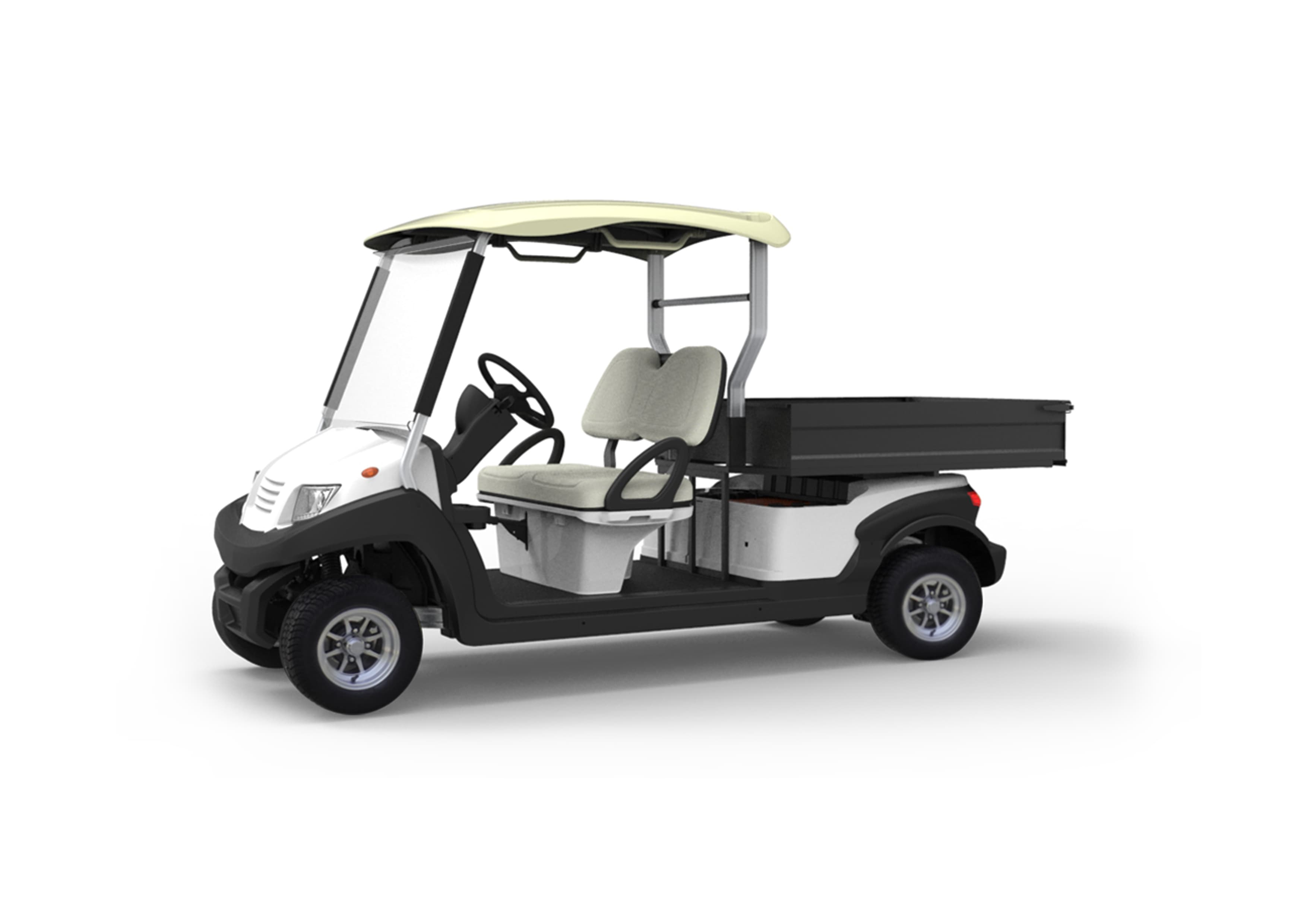 Dalton electric buggy, two-seater electric buggy