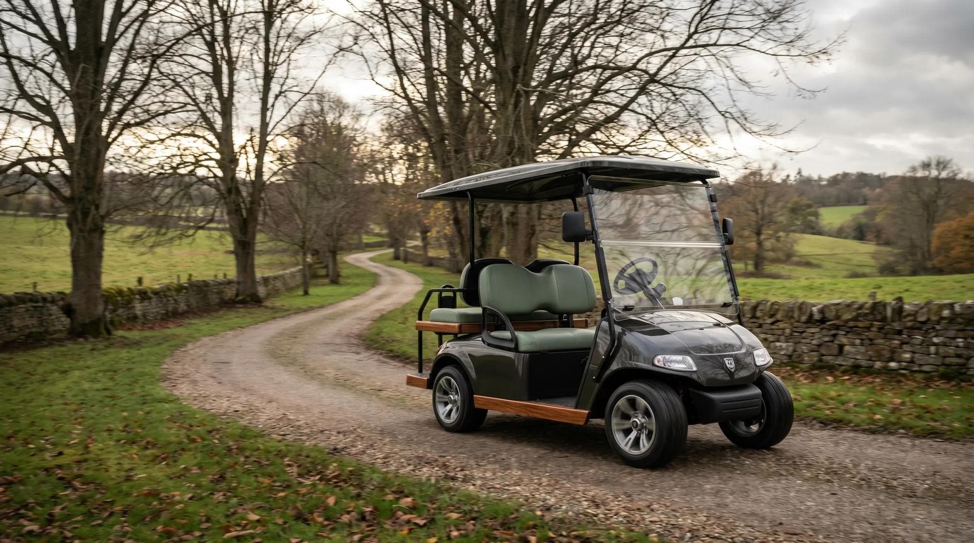 How fast does a golf cart go?