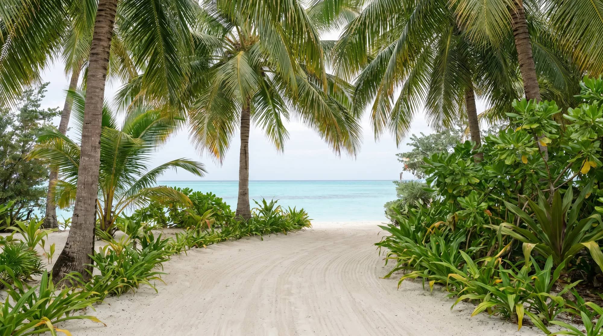Electric Golf Carts in the Maldives